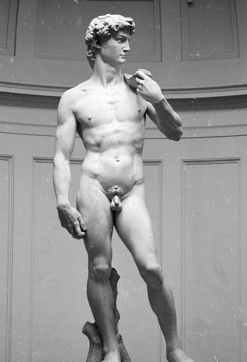 statue of david swim briefs